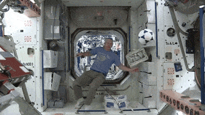 5.gif