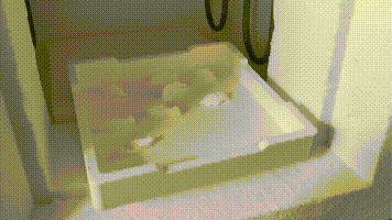 糖宝出炉.gif