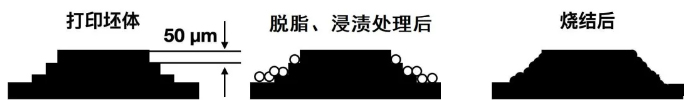 02.jpg