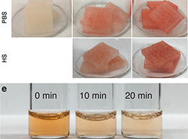 3D打印的DNA涂层化疗过滤器开启了癌症靶向治疗的大门