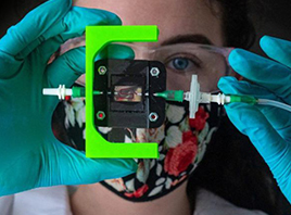 科学家利用3D打印和智能生物材料为1型糖尿病患者制作产生胰岛素的植入物