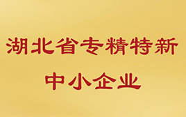 武汉因泰莱激光荣获“2024年专精特新中小企业”