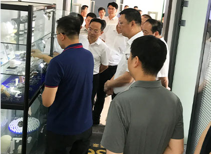咸宁市委副书记、市长杨军调研走访因泰莱激光