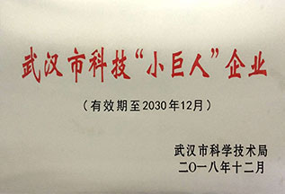 武汉市科技“小巨人”企业