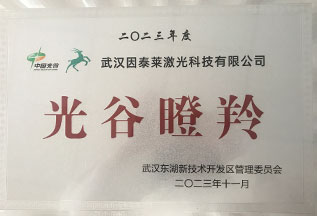 武汉东湖新技术开发区光谷瞪羚企业