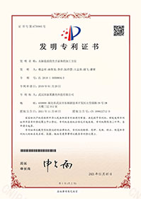 发明专利1