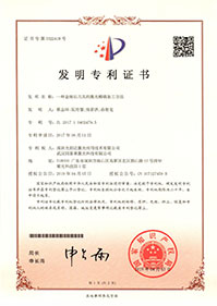 发明专利3