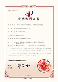 发明专利6