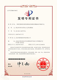 发明专利5