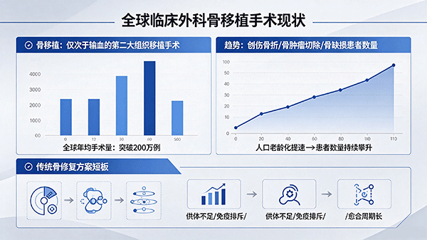 未标题-1_01.png